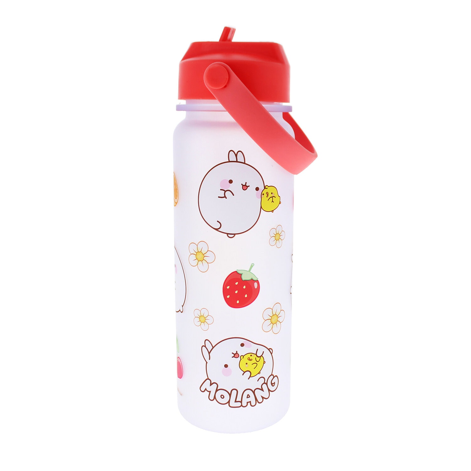 Molang Fruits Vattenflaska