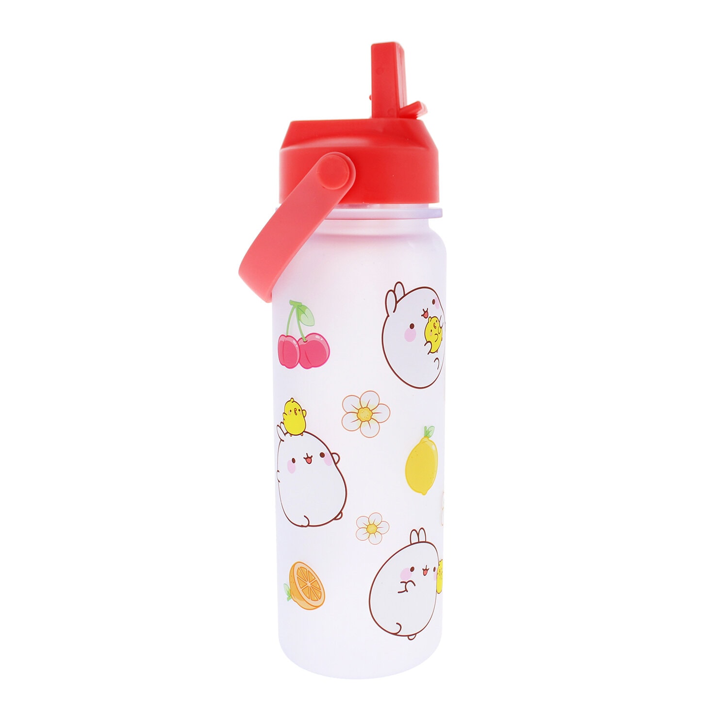 Molang Fruits Vattenflaska