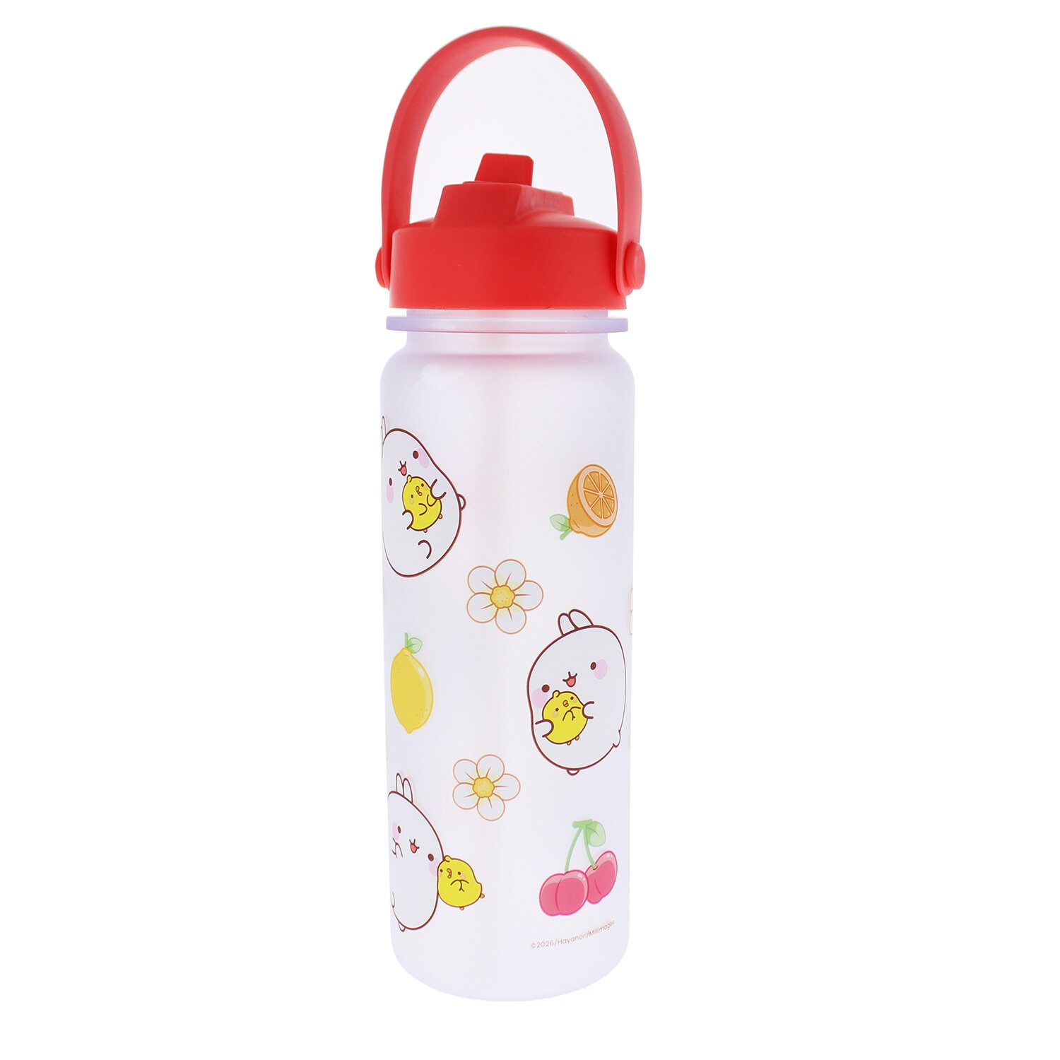 Molang Fruits Vattenflaska
