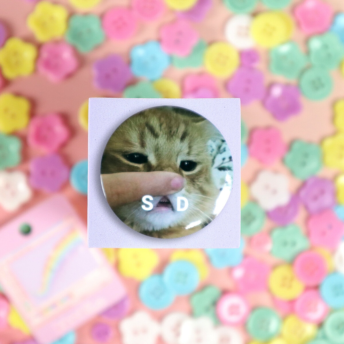 Knapp - Sad cat