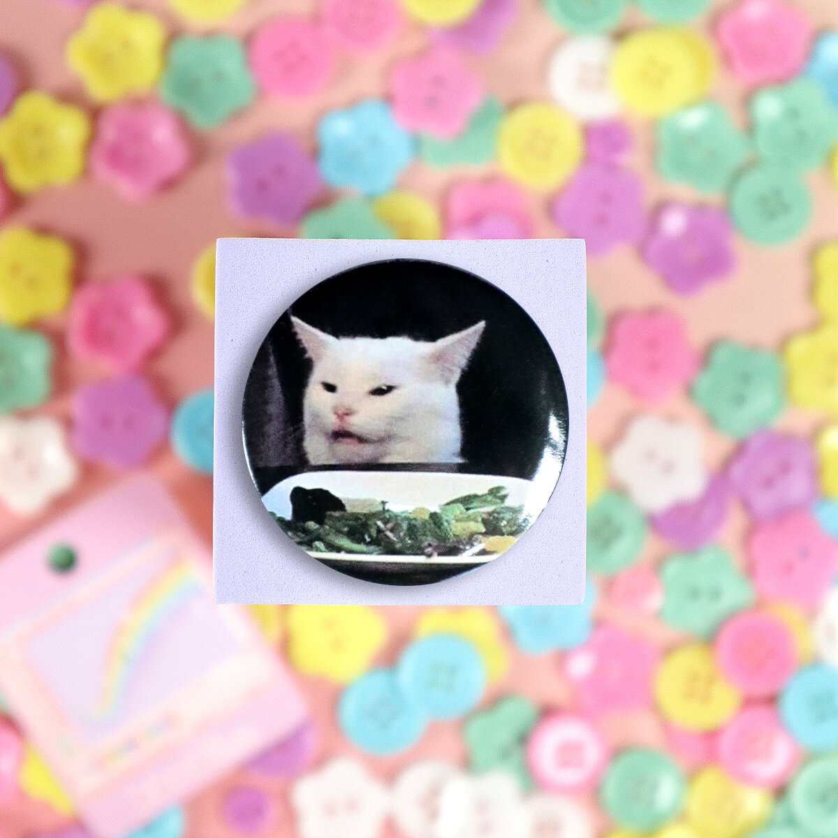 Knapp - Smudge the Cat
