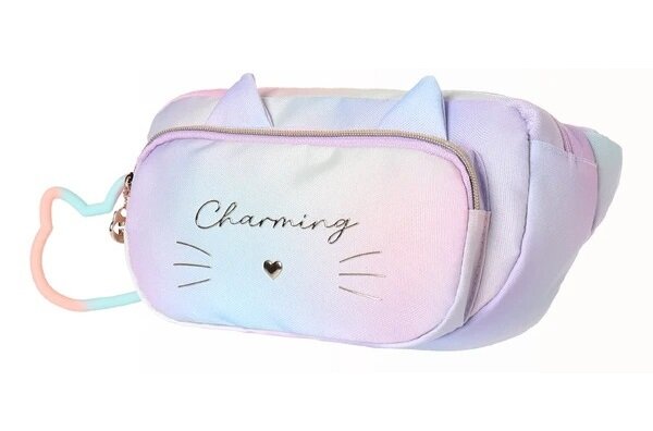 Rainbow fanny pack, Charming