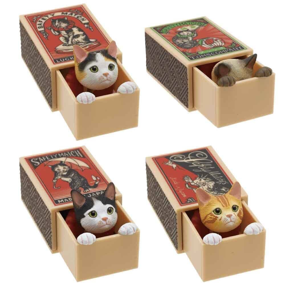 Mystery Box - Katt i tändsticksask
