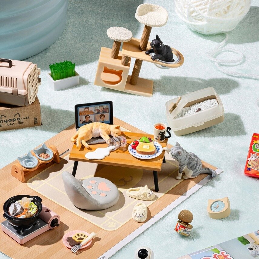Mystery box - Life with Cats