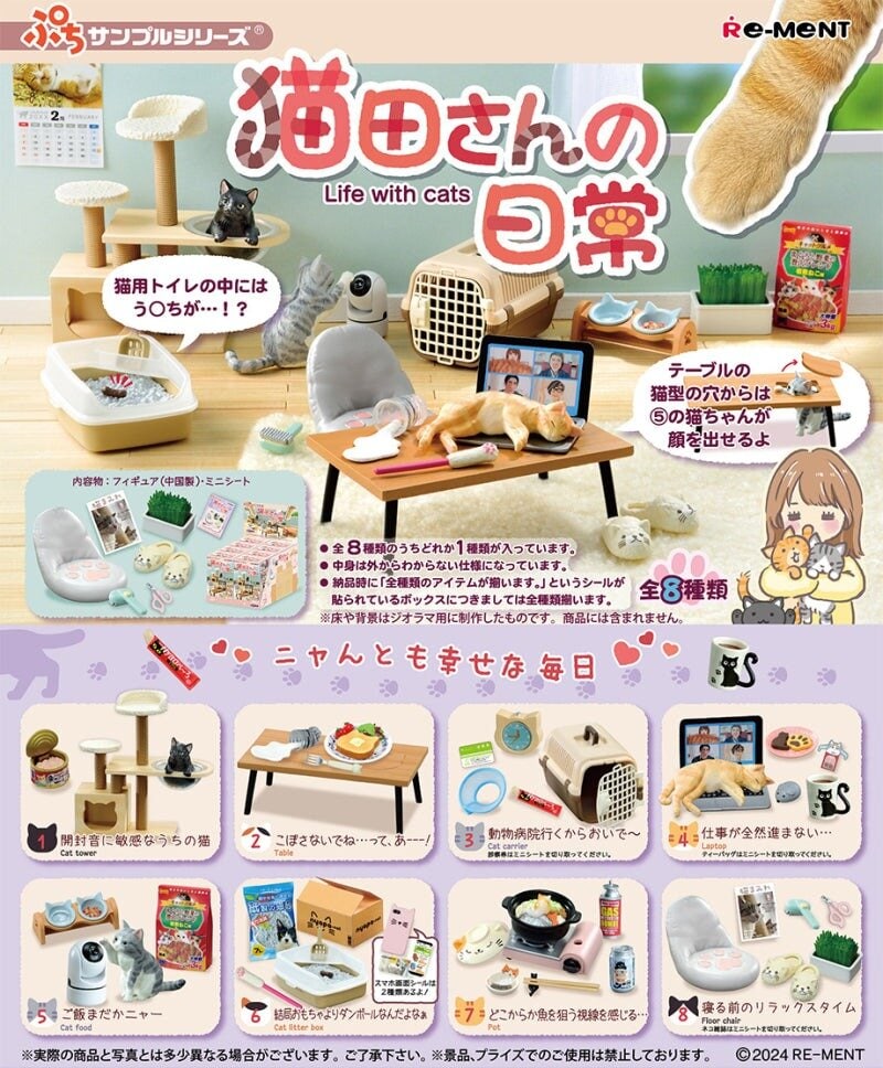 Mystery box - Life with Cats