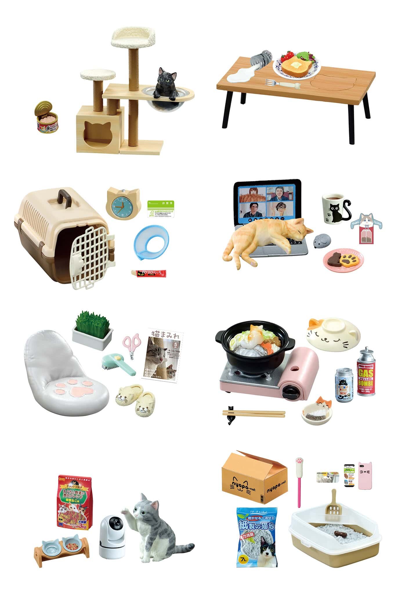 Mystery box - Life with Cats