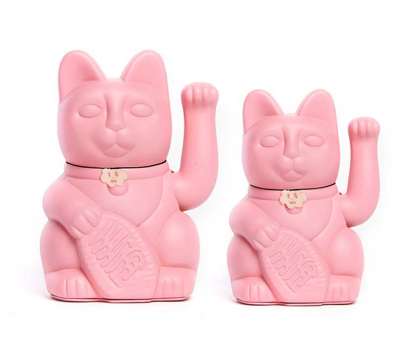 Rosa maneki neko