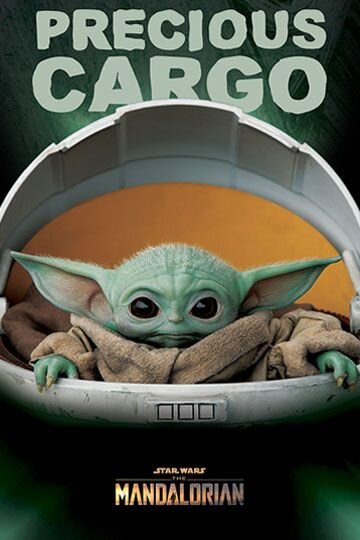 Poster - Baby Yoda, precious cargo