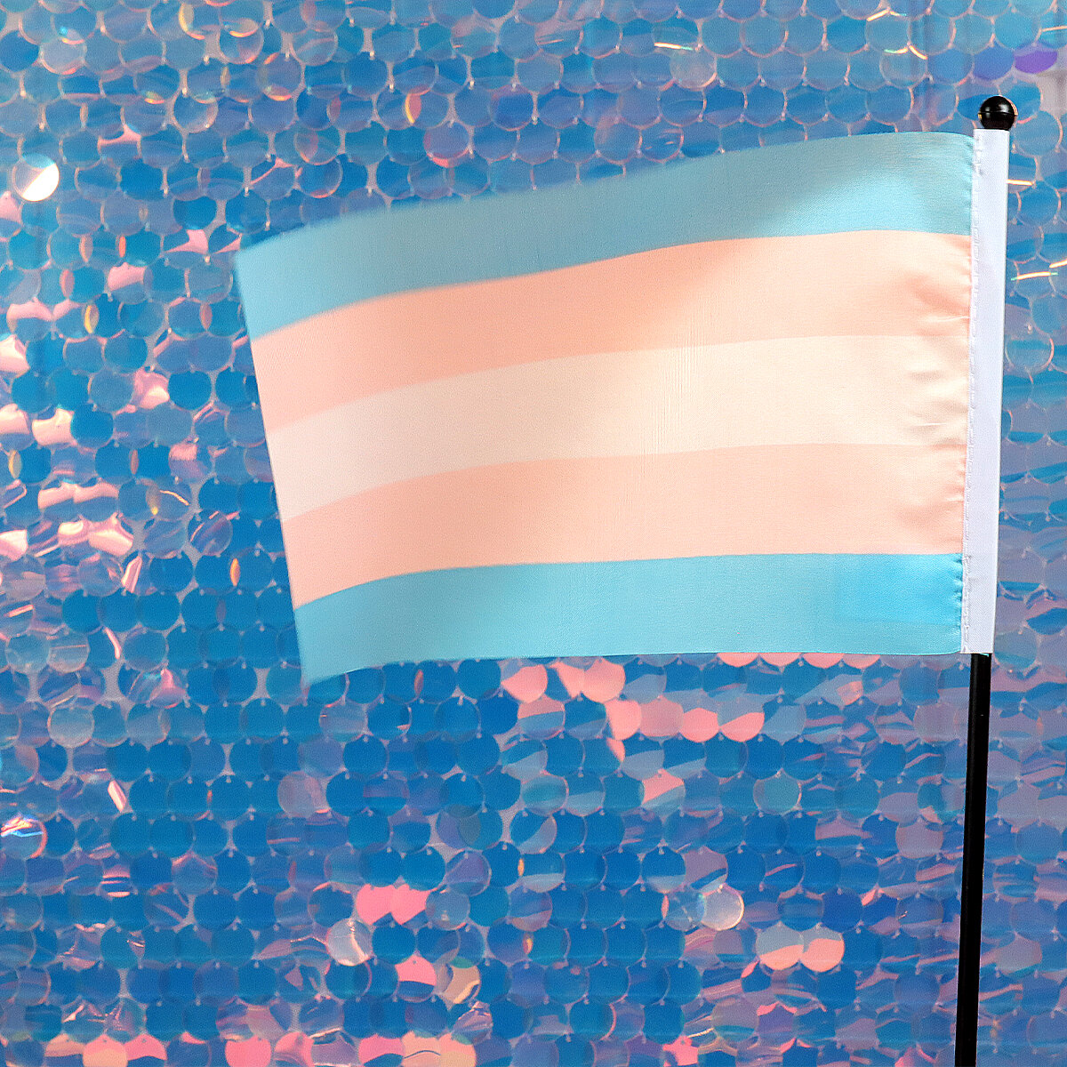 Liten transflagga