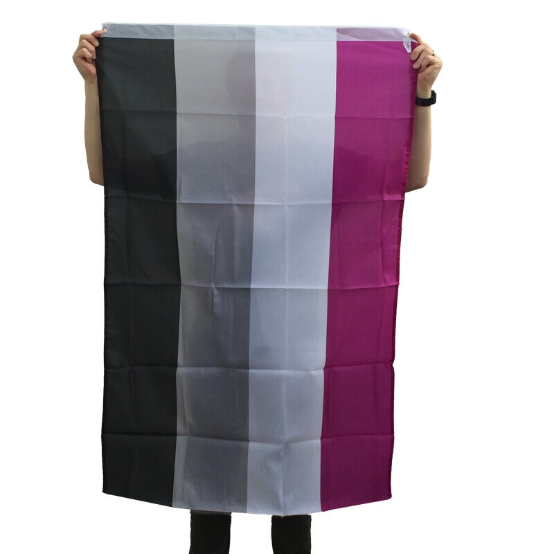 Ace/asexuell-flagga - x-large