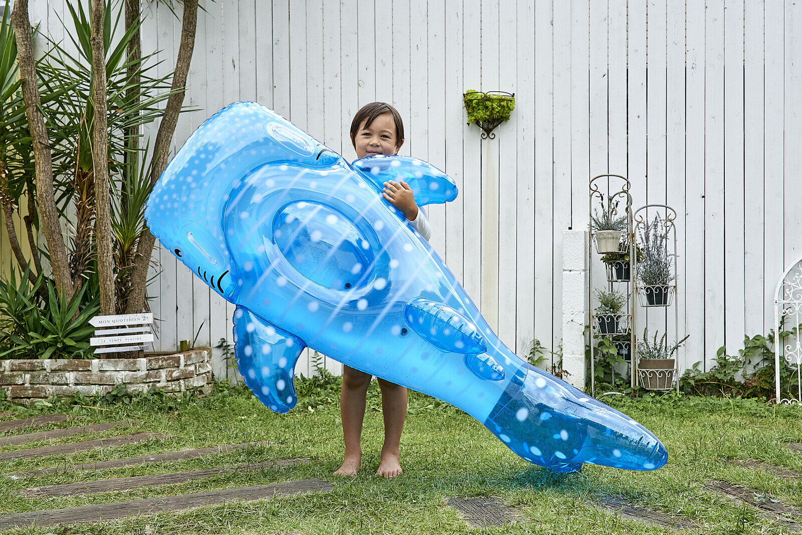 Pool Float Jättevalhaj