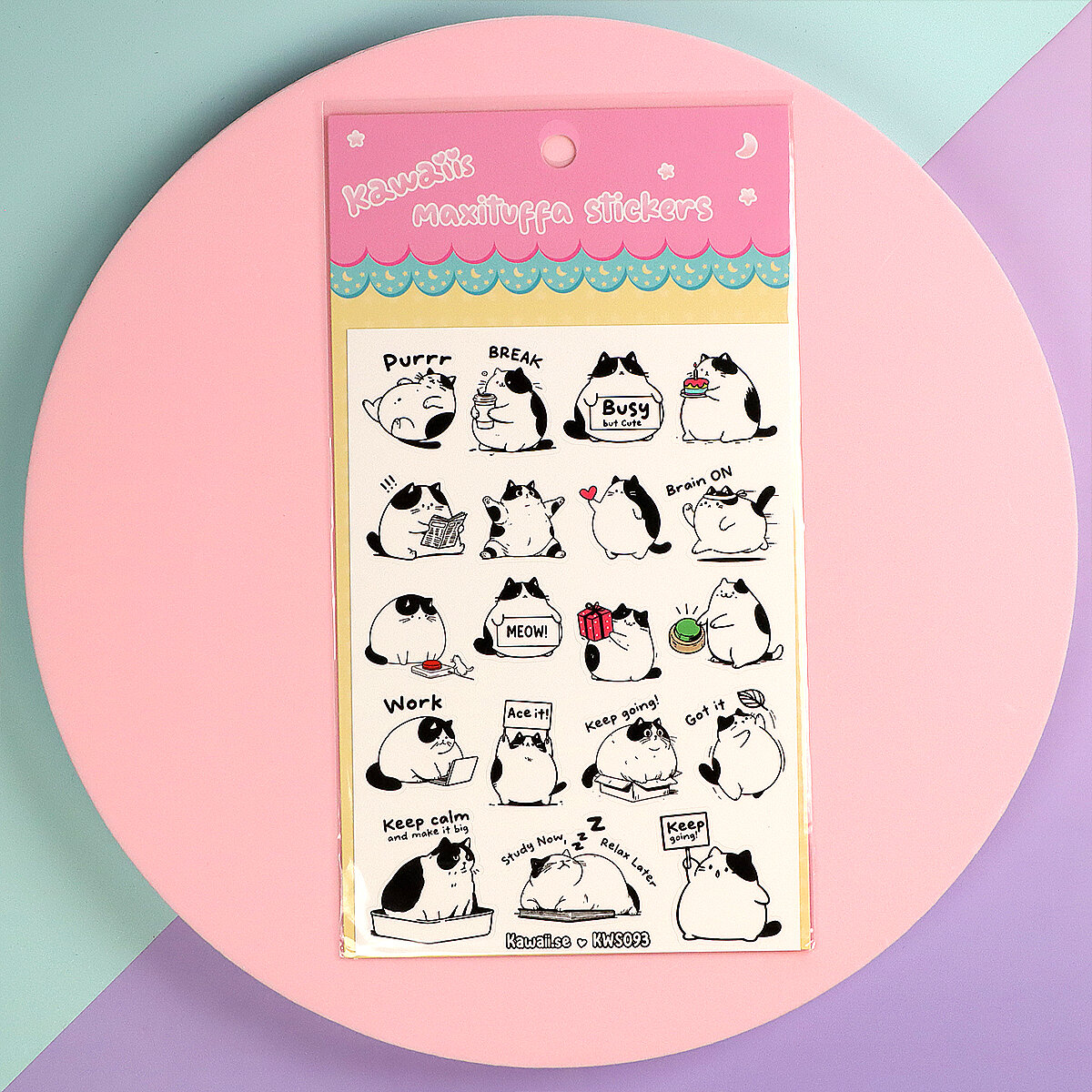 Stickersark A6 - Motivational cat