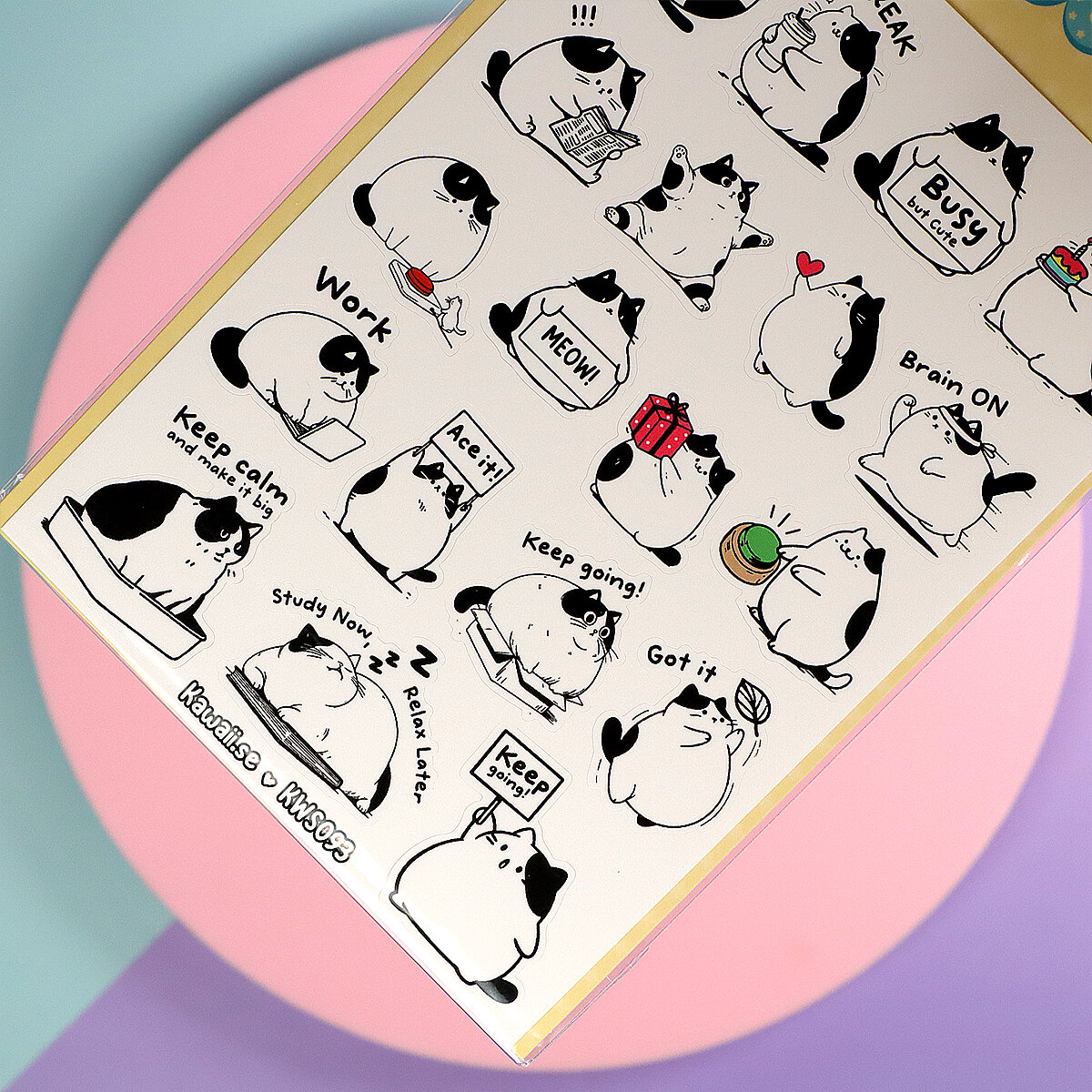 Stickersark A6 - Motivational cat