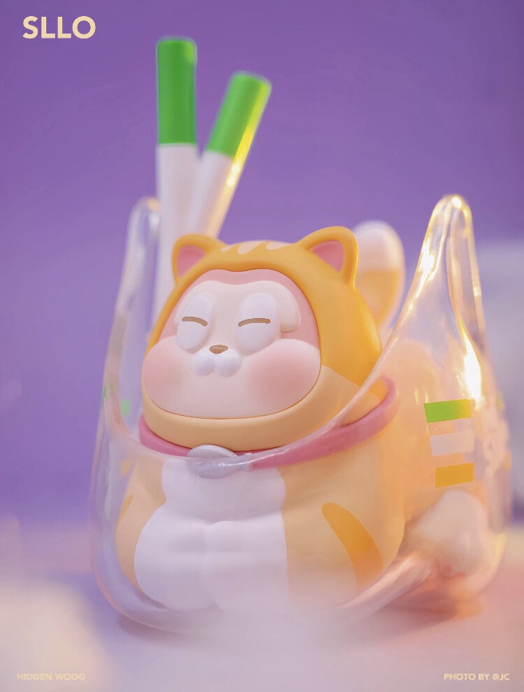 Sllo Pikaboo Cat Blind Box