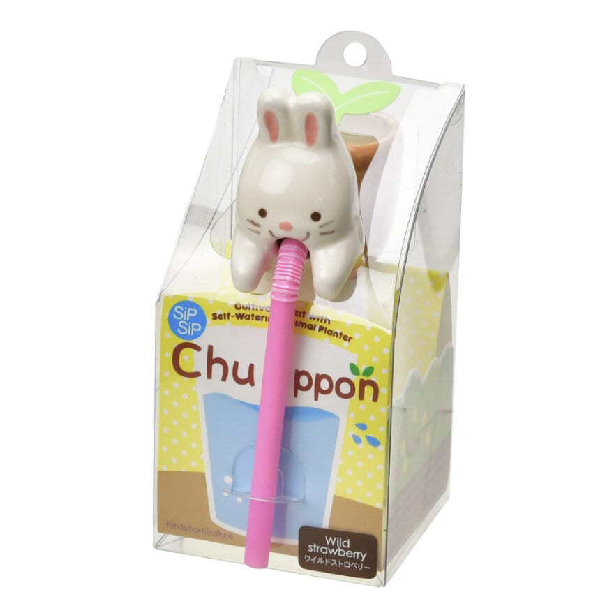 Chuppon-Växtkit Kanin - Smultron