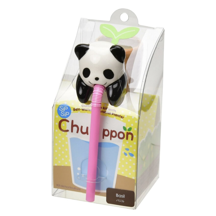 Chuppon-Växtkit Panda - Basilika