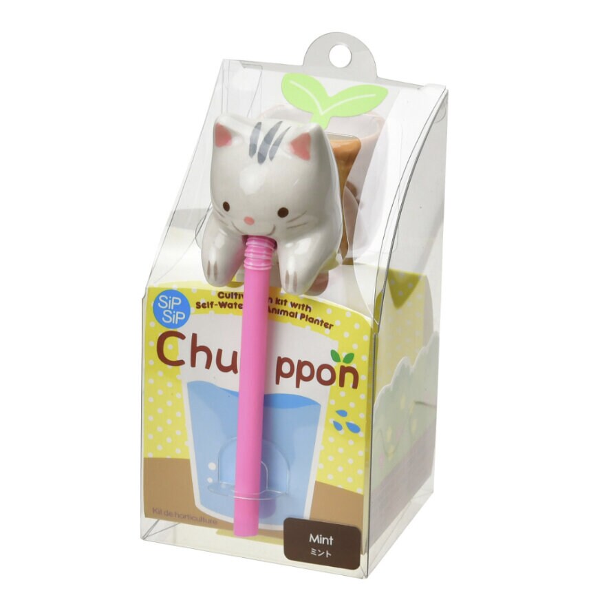 Chuppon-Växtkit Katt - Mynta