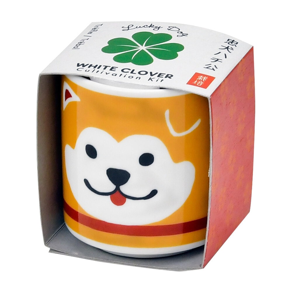 Lucky Plant - Hachi Dog