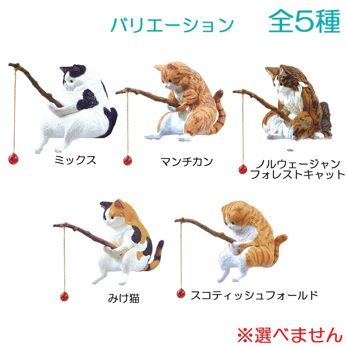 Mystery Box Fishing Day Cats