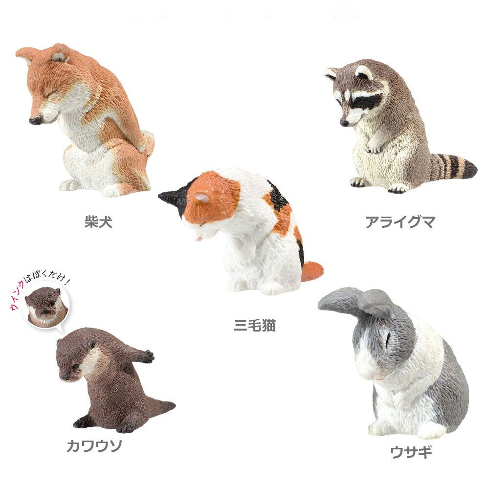 Mystery Box Animals Bowing
