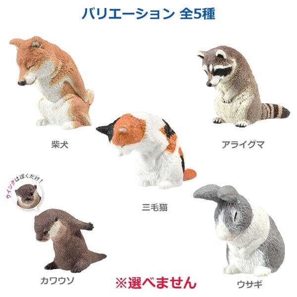 Mystery Box Animals Bowing