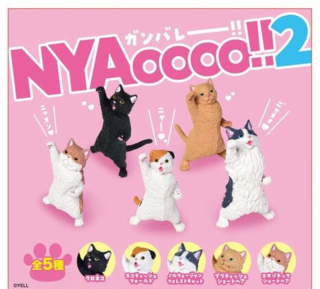 Blind Box - NYAoooo Cats!!