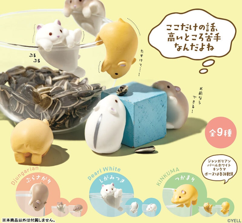 Mystery Box Hamsters Hanging Out
