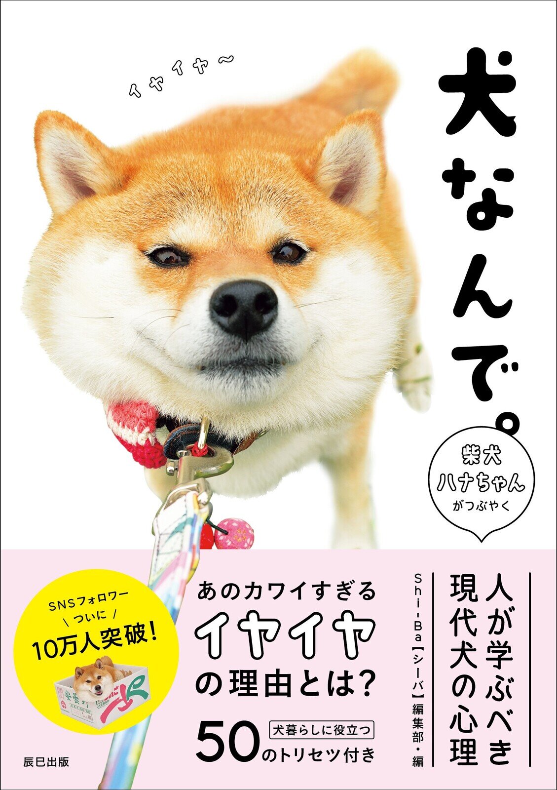 Bok, What is Hana-chan Thinking?