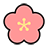 Sakura ikon