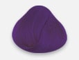 newviolet